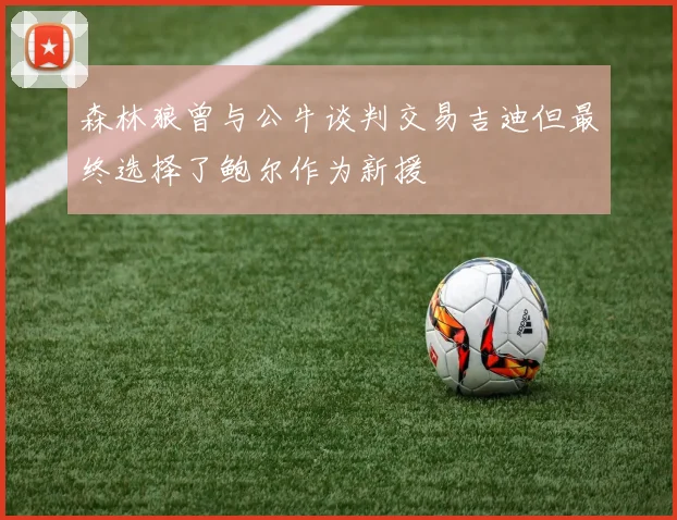 森林狼曾与公牛谈判交易吉迪但最终选择了鲍尔作为新援