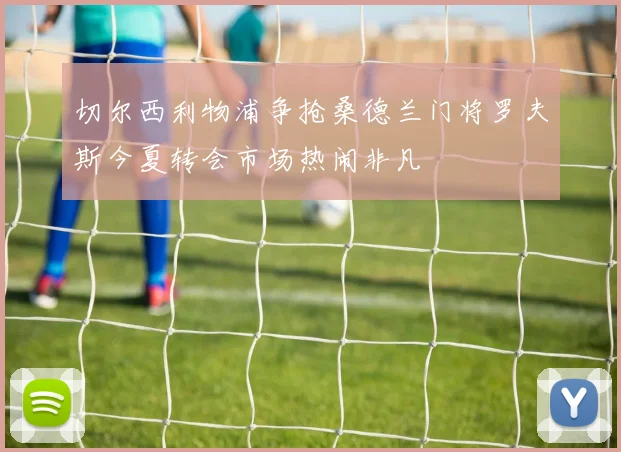 切尔西利物浦争抢桑德兰门将罗夫斯今夏转会市场热闹非凡